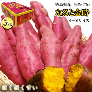 ܂ 5kg -TCY  ȂƋ Y  S-MTCY 25-47{ Â  ܈ 