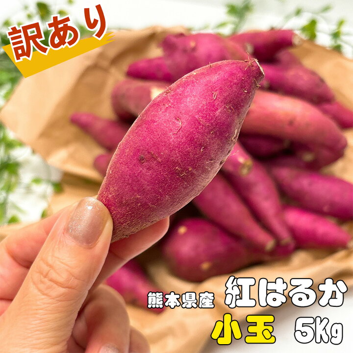 楽天市場】さつまいも 訳あり 5kg 小 送料無料 紅はるか 熊本県産 紅 