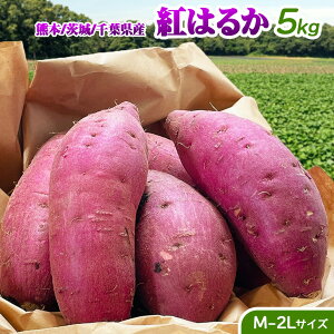 ܂ 5kg   g͂邩 F{錧tY g͂邩 Gi M-2LTCY 10-47{ Â  ܈ 