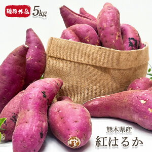 さつまいも 訳あり 5kg 大 送料無料 紅はるか 熊本県産 紅はるか 規格外品 中-大サイズ 10-45本入 甘い 芋 さつま芋 生芋