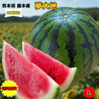 すいか スイカ 西瓜 熊本県 夢大地 秀品 Lサイズ 6kg 糖度光センサー検査済み 送料無料 糖度保証 父の日 ギフト