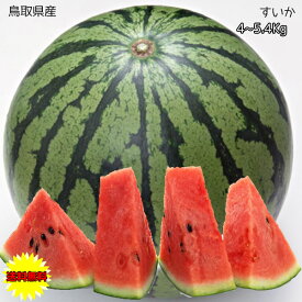 すいか スイカ 訳あり 鳥取県産 西瓜 4kg～5.4Kg ご家庭用 送料無料 鳥取県 西瓜 すいか 大玉 西瓜 ギフト お中元