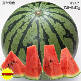 すいか スイカ 訳あり 鳥取県産 西瓜 7.5kg～8.4Kg ご家庭用 送料無料 鳥取県 西瓜 すいか 大玉 西瓜 ギフト お中元