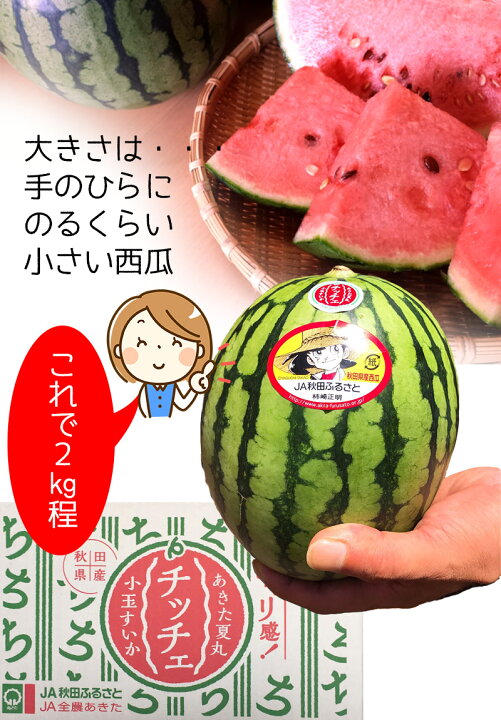 楽天市場】すいか スイカ 秋田県産 夏丸 小玉西瓜 チッチェ 2kg～2.5Kg 