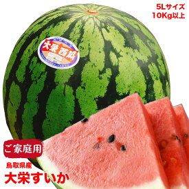 すいか スイカ 訳あり 鳥取県産 大栄西瓜 5Lサイズ 10kg以上 ご家庭用 送料無料 鳥取県 西瓜 大栄 すいか 大玉 西瓜 ギフト お中元