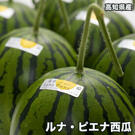 スイカ すいか 西瓜 小玉 送料無料 高知県産 ルナピエナ 西瓜　約2kg以上 夜空 ギフト すいか スイカ お歳暮 ギフト