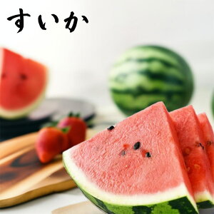 XCJ  Z   mY Z 2.5kgȏ Mtg  XCJ Ε Mtg