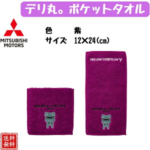 �y�O�H�����z �f���ہB�R���N�V���� �|�P�b�g�^�I�� TS14708�i���^1���j �h�J���� 12×24cm �����`�^�C�v �M�t�g �f���ہBCOLLECTION �n���J�` �f���J�~�j �y���������z