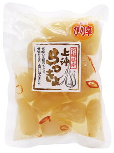 ㉫Y {茧Ysh傤100g ×1
