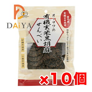 I[T̗L@čӖׂ 60g ×10