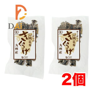 I[T̗L@炰iBYj20g ×2