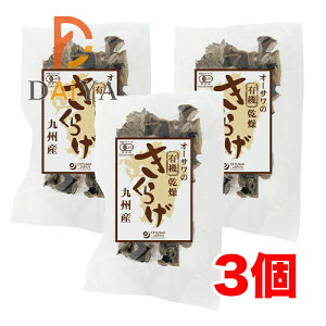 I[T̗L@炰iBYj20g ×3