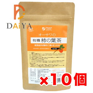 I[T̗L@`̗t 40g(2g×20) ×10