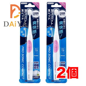 }} v\jbNRpNg 炩 sNDH310PK ×2