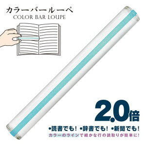 ���h�v���X�`�b�N �J���[�o�[���[�y 21cm CBL-1000-LG