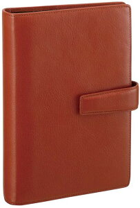 レイメイ藤井 ダヴィンチ スタンダード システム手帳 DB3005C