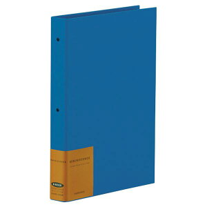 ZLZC |PbgAo u[ XP-2102-10