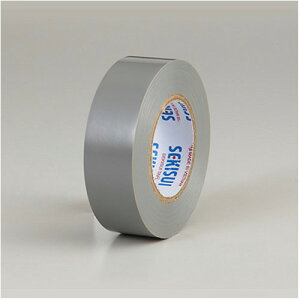 �ϐ����w �G�X�����e�[�v�O���[ 19X10 V360H1N