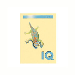 伊東屋 バイオトップカラーA4(500枚入) BT501