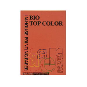 ɓ oCIgbvJ[A4i100j BT119