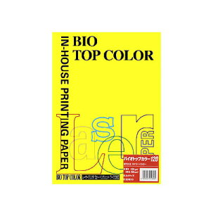 ɓ oCIgbvJ[A4 i50j BT312