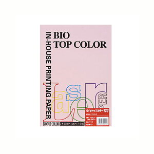 ɓ oCIgbvJ[A4 i50j BT331