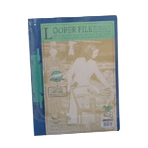 qgu [p[t@C A4  F-3006