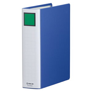 LOW LOt@CSDDE B5S  2455A