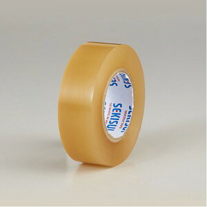 �ϐ����w �G�X�����e�[�v���� 19x10 V360T1N