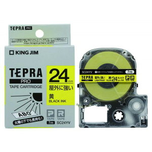 �L���O�W�� �e�v��PRO�e�|�v���O�ɋ������^������ SC24YV