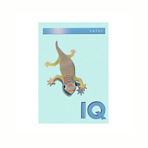 ɓ oCIgbvJ[A4i500j BT508