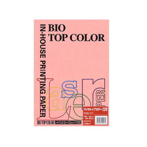 ɓ oCIgbvJ[A4 i50j BT304