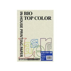 ɓ oCIgbvJ[A4 i50j BT409