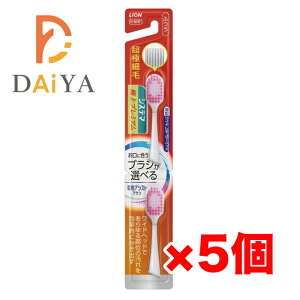 CI LION dAVXguV tփuV VXe}ɏv~A ӂ 2{ ×5