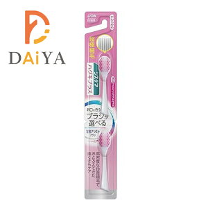 CI VXe}nOLvX dAVXguV t֗puV ɍז 炩 ^ChRpNgwbh ×1