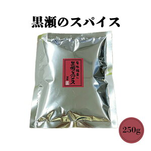 H ̃XpCX ߂p 250g \ BBQ o[xL[ AEghA ~bNXn[u h Ӟ RVE