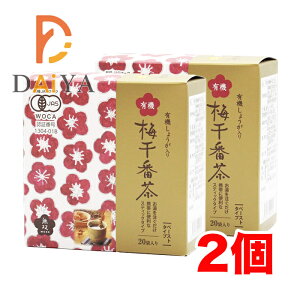 o{ L@~ԒEXeBbN8g×20 ×2