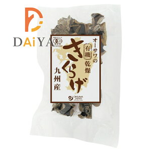 I[T̗L@炰iBYj20g ×1