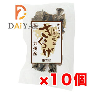 I[T̗L@炰iBYj20g ×10