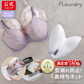 ★P5倍+送料無料★【ブラジャー専用 型崩れ防止 大きいサイズ対応】 無蛍光ふわふわ生地で衣類にやさしい洗濯ネット ｜ ドラム式 洗濯機 たたき洗い 手洗い おしゃれ着 メッシュ ホームクリーニング ハート ブラジャー用 洗濯ネット 高耐熱 無蛍光
