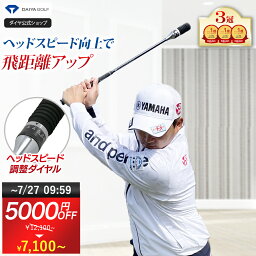 DAIYA GOLF ヘッドスピード測定機能付きスイング練習器具