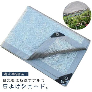 v A~ 2M×3M ډB  ډB ȃGl Ռ 99Ռ  UVJbg 悯 O΍ 悯XN[ VF[h x_ 悯VF[h g O΍ V[g I[jO T