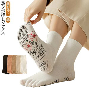 N  C }bT[W fB[X 2Zbg C _ c{ {[h Y  Rbg ܖ{w\bNX am  ObY   C\[ V[g }bT[W X