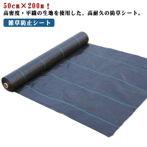 Gh~V[g V[g hV[g hV[g _ 悯V[g Gh~  50cm×200m _pV[g lHŉ h |p UVܓ K[fjO G Ԓd c V[g    G