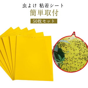 悯 SV[g  Sgbv RoG F S}bg RoG ߒV[g ߒV[g QߊlS Q΍pi V[g ߒ nG莆 ʔS OΉ Q 