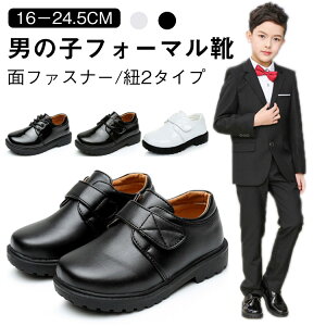  tH[}C ܎O tH[} tH[}V[Y j̎q C w qC tH[} V[Y tH[} [t@[ ʃt@Xi[ jq LbY Ǝ  \ LbY