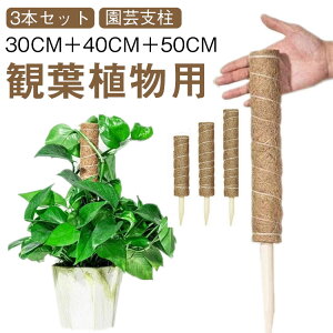 Ԃ x |gX Xe RRXeBbN 3{Zbg RRibcx A x |h~ AT|[g |x 鐫A K[fjOp g}g ϗtA x |p |xp