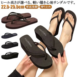 r[`T_ r T_ gOT_ fB[X   W[p t y q[ T_ C ₷  Sn r[T ^Ep p 傫TCY 킢