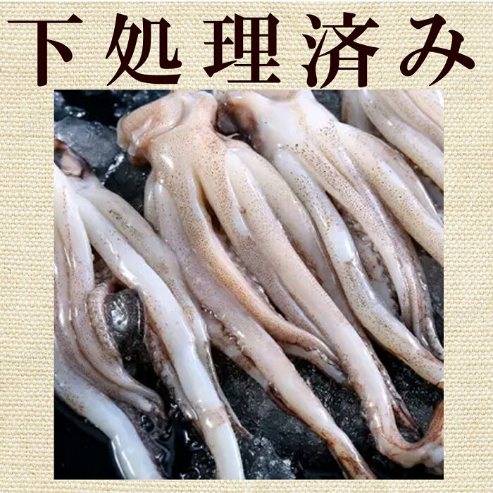 【楽天市場】青森産 スルメイカげそ1キロ・約16~24本 ゲソ するめいか 冷凍 いか イカ いかげそ イカ足 下足 げそ 烏賊 焼き BBQ ...