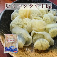 ミニクラゲ 1kg 食用クラゲ 塩漬クラゲ 中華くらげ クラゲ 中華料理 母の日 父の日 ギフト お中元 ネコポ…
